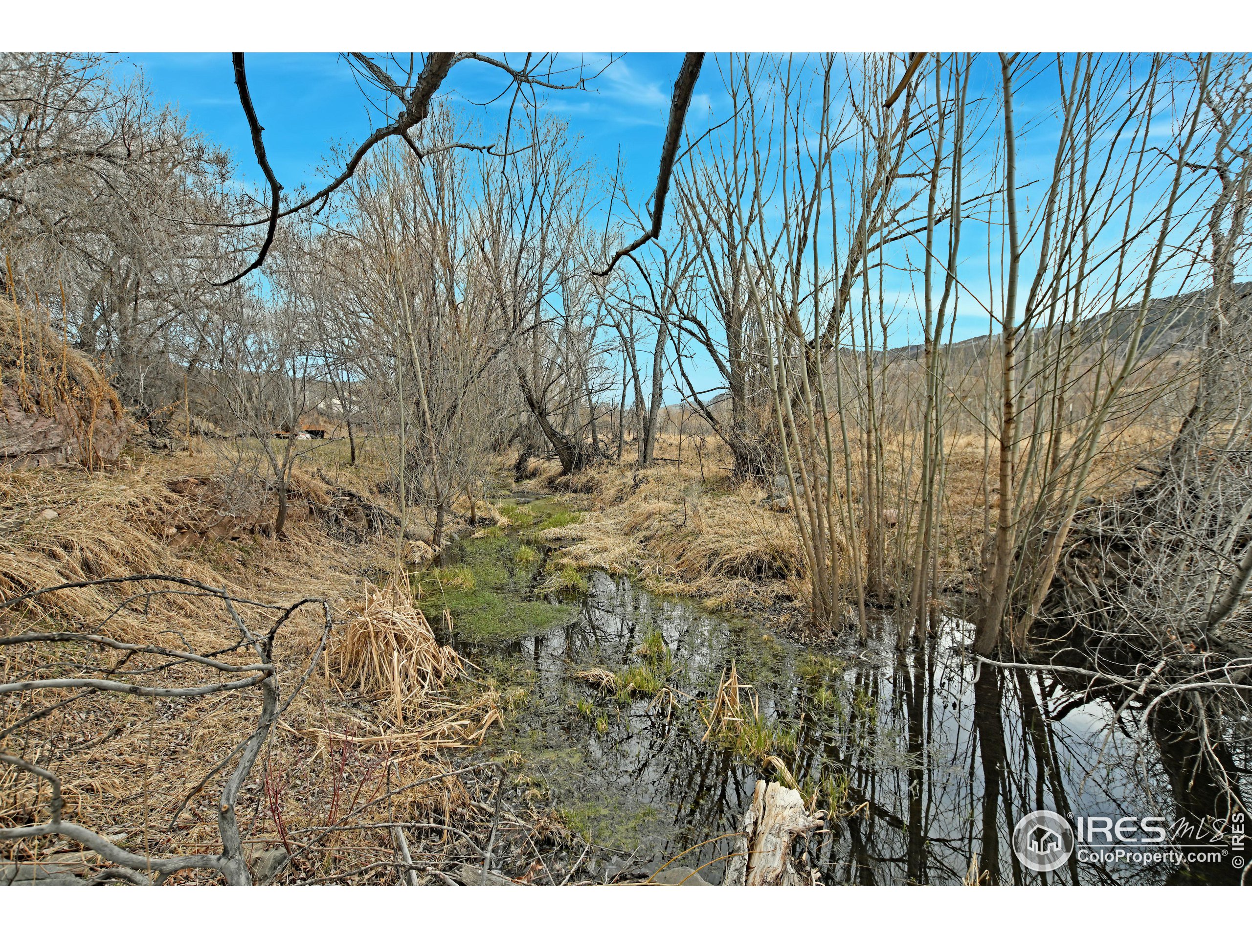 Single Property Website
