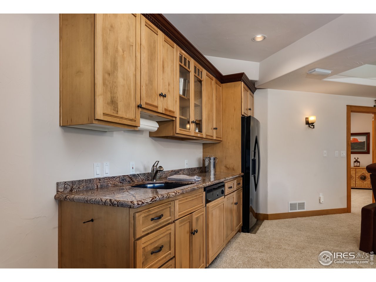 Lower lever wet bar and kitchen