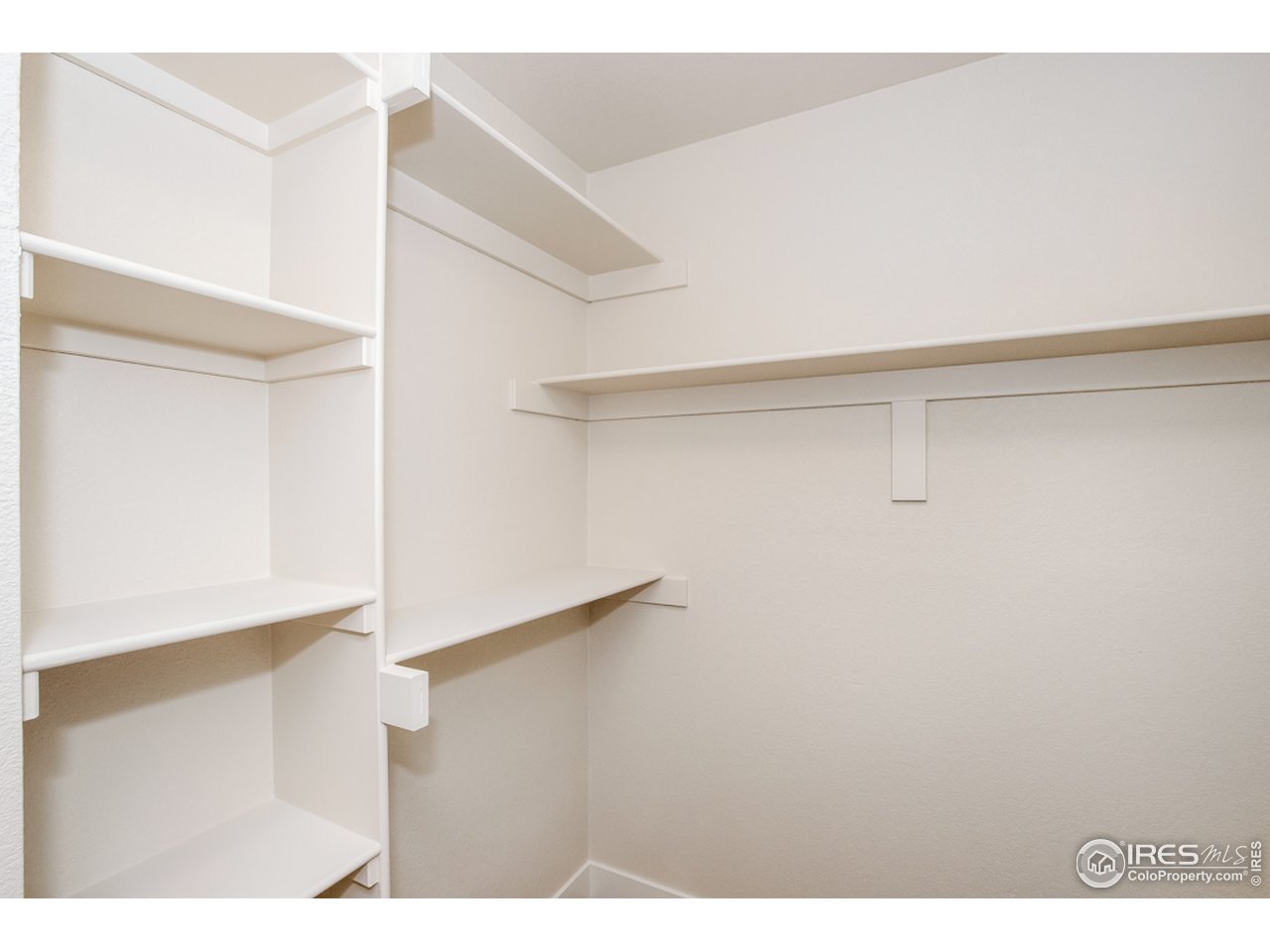 All new shelving in the closets