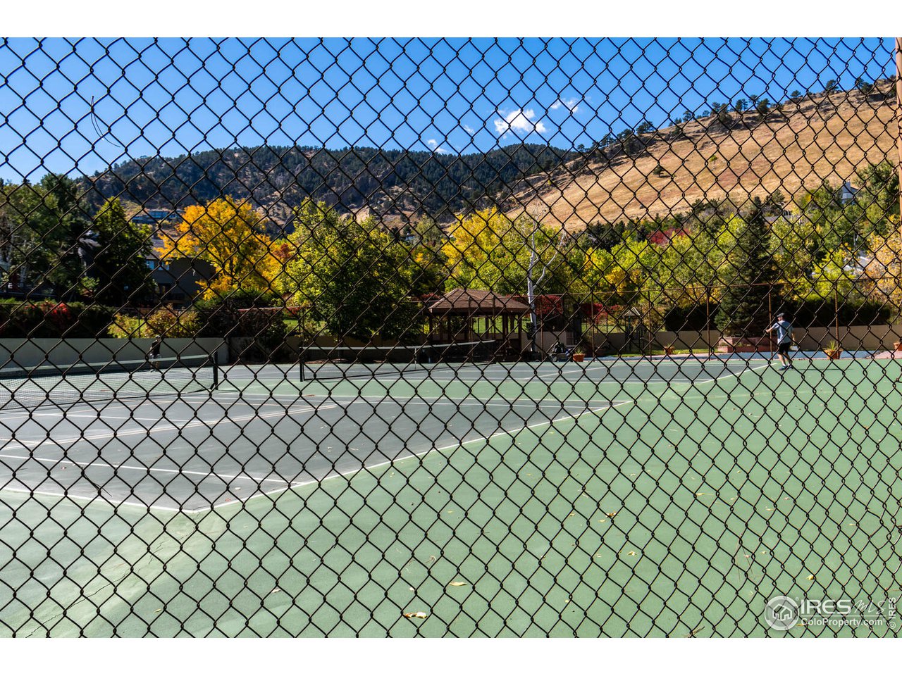 Neighborhood tennis