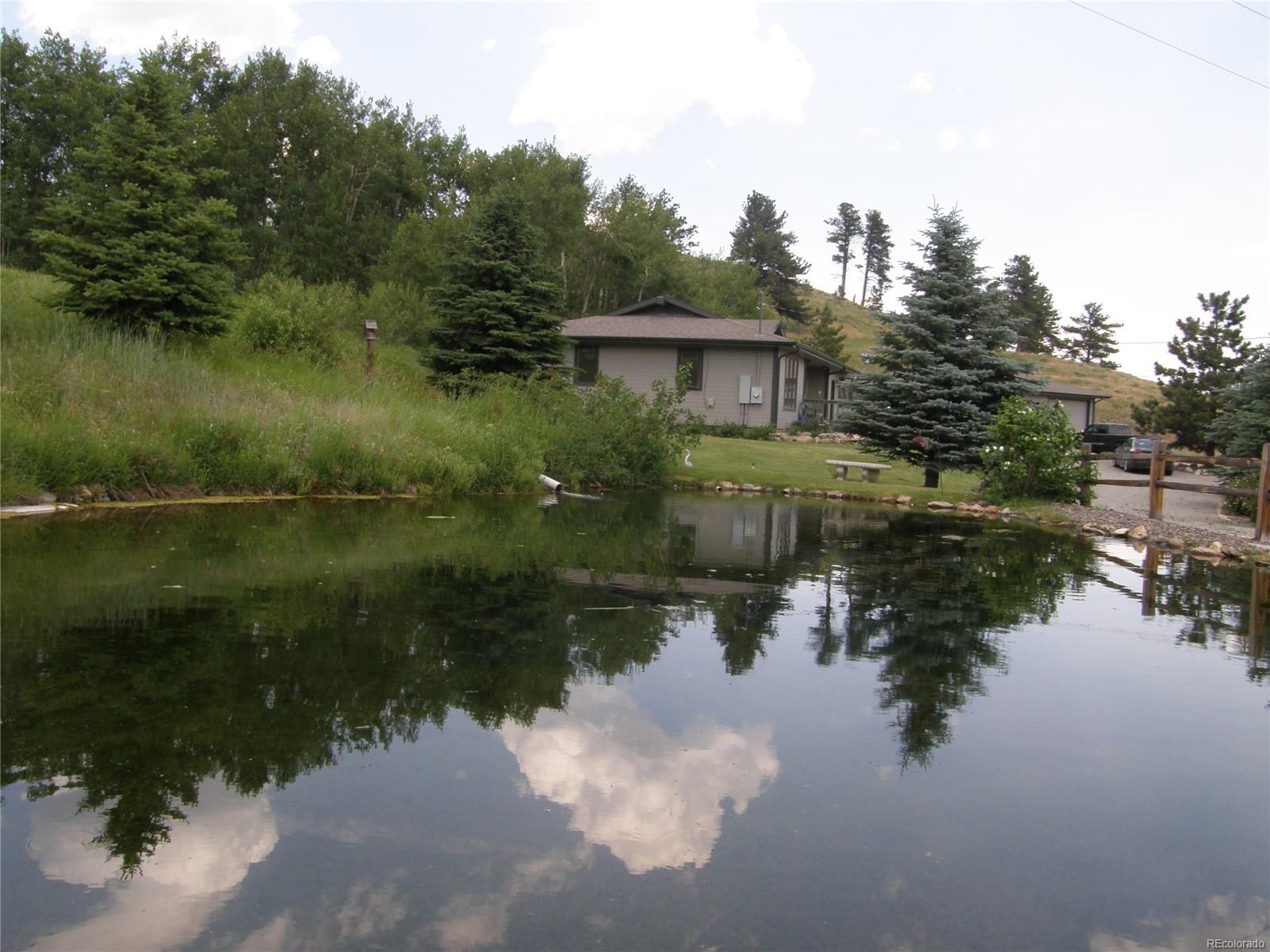 Your very own fish pond!