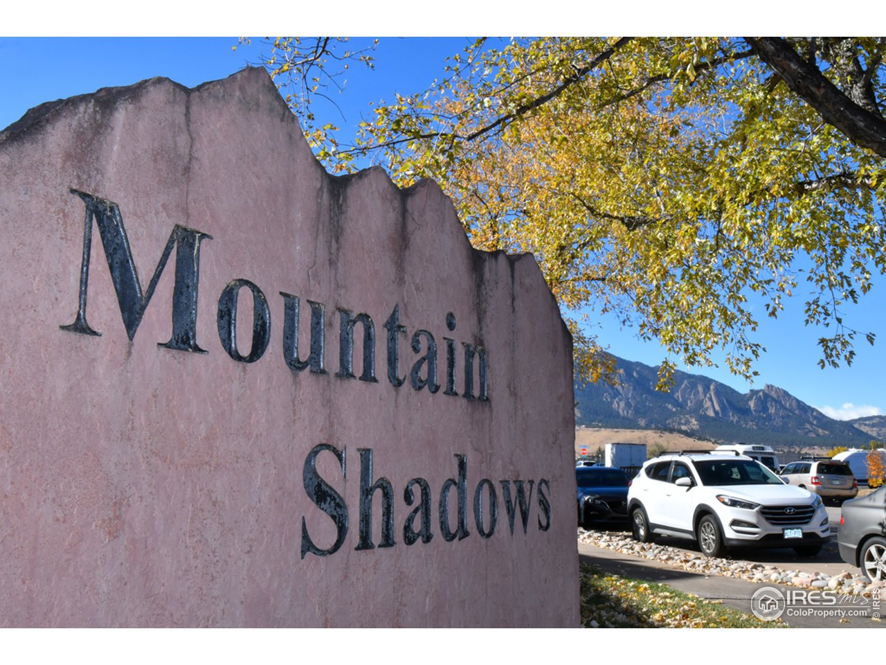 Welcome to Mountain Shadows