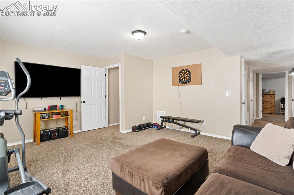 Basement living area