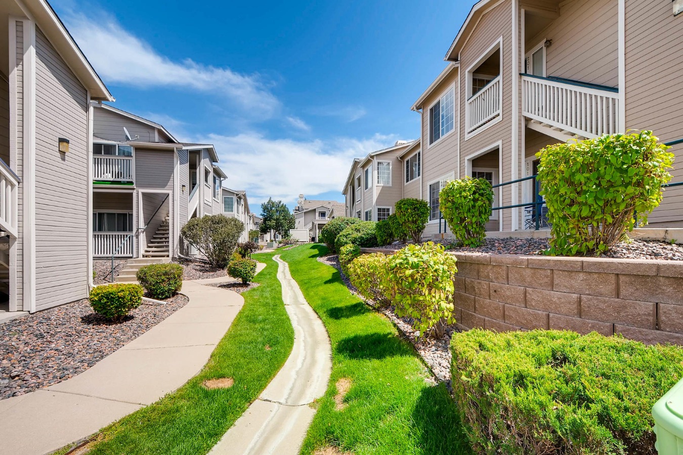 Professional Landscaping and Maintenance 