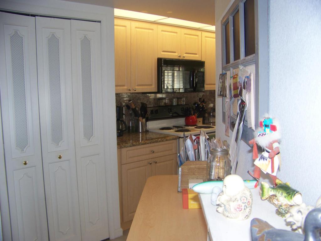 Extra Counter Storage