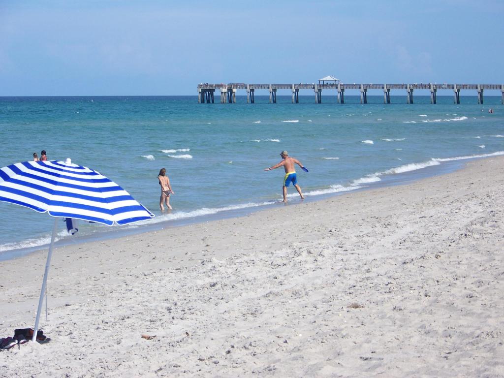 FISH ON JUNO PIER
