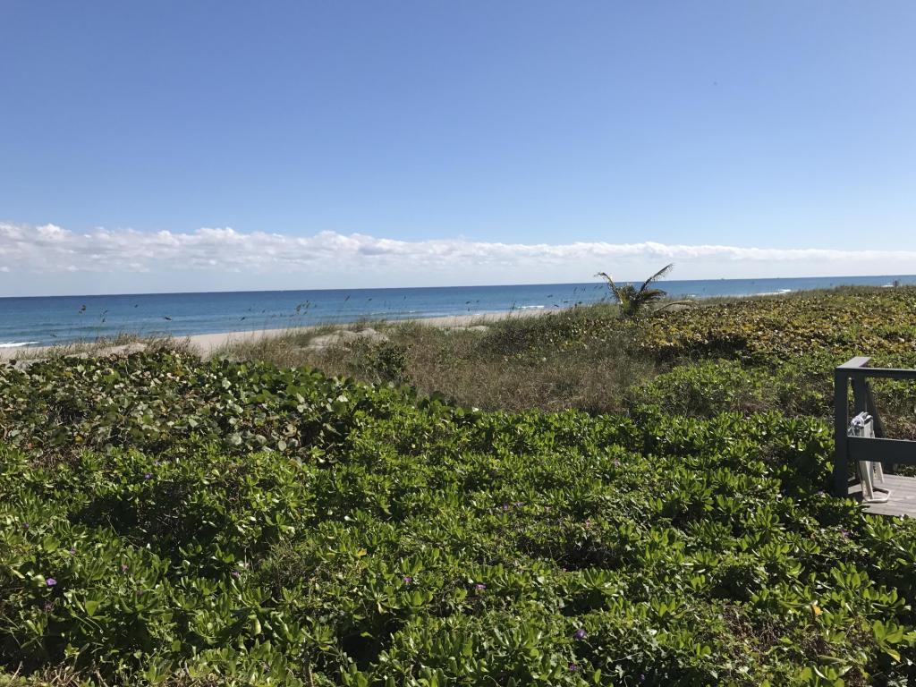 BEACH VIEW SOUTH