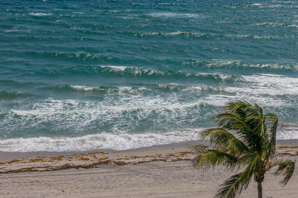 Ocean Reef Towers