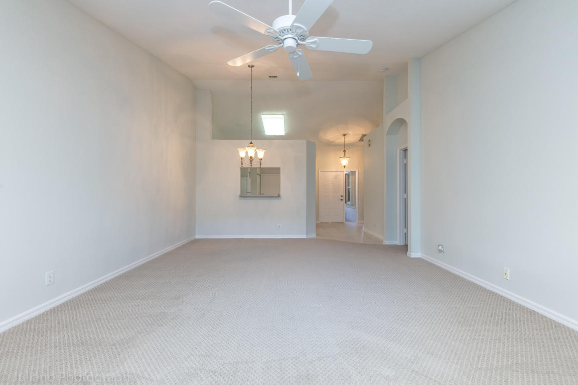 6085 HELICONIA