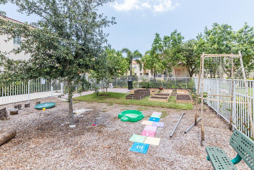 The Play Area