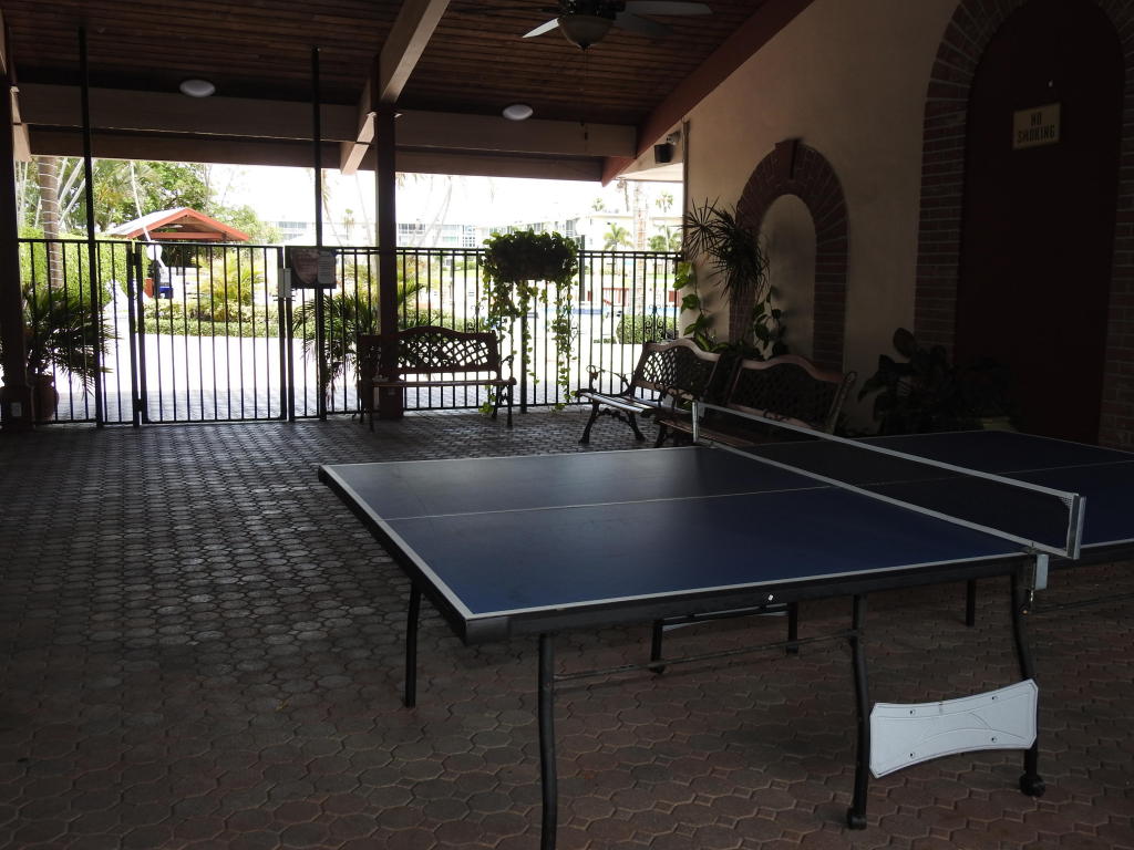 Ping Pong