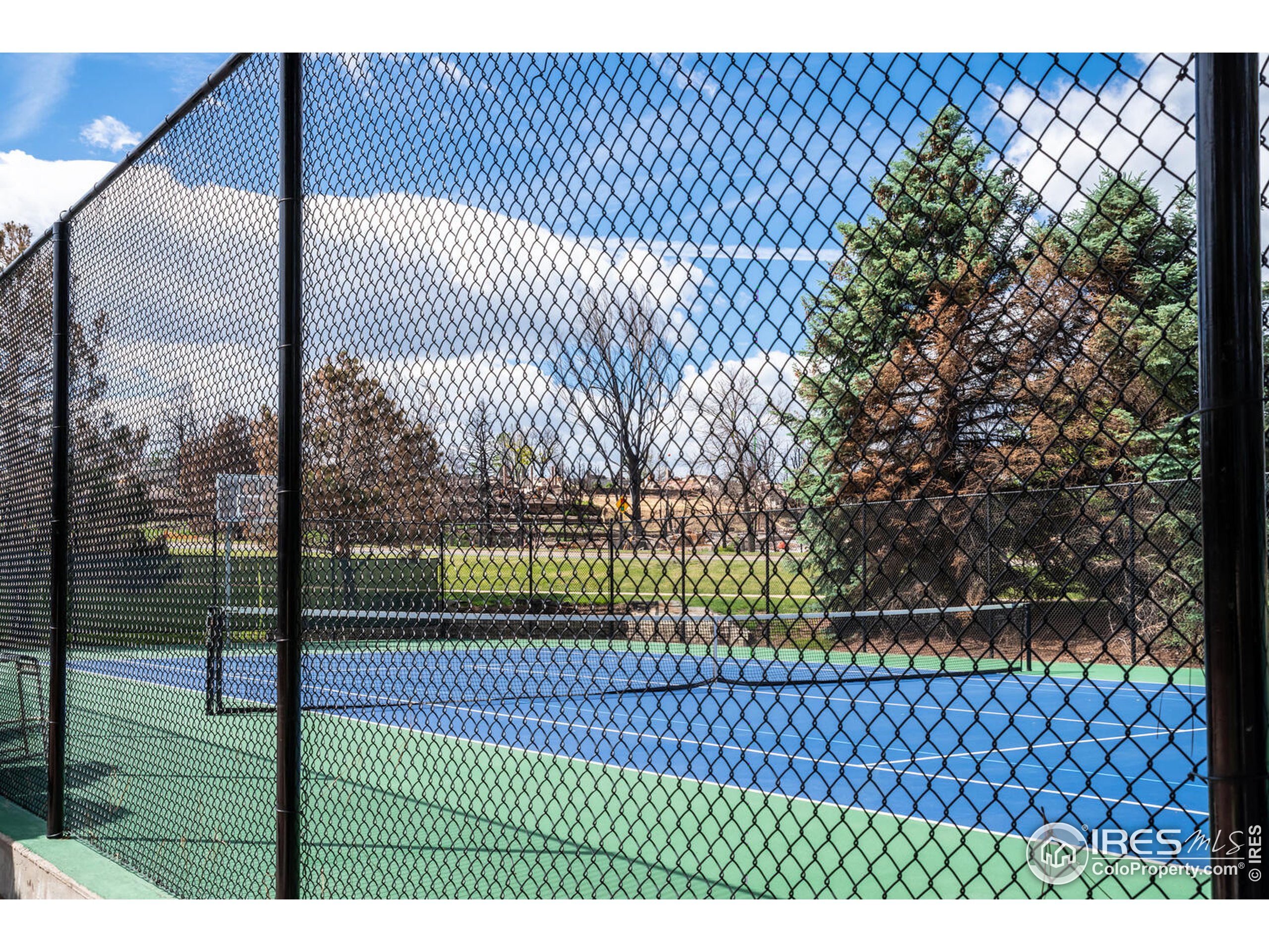 Neighborhood Tennis Courts