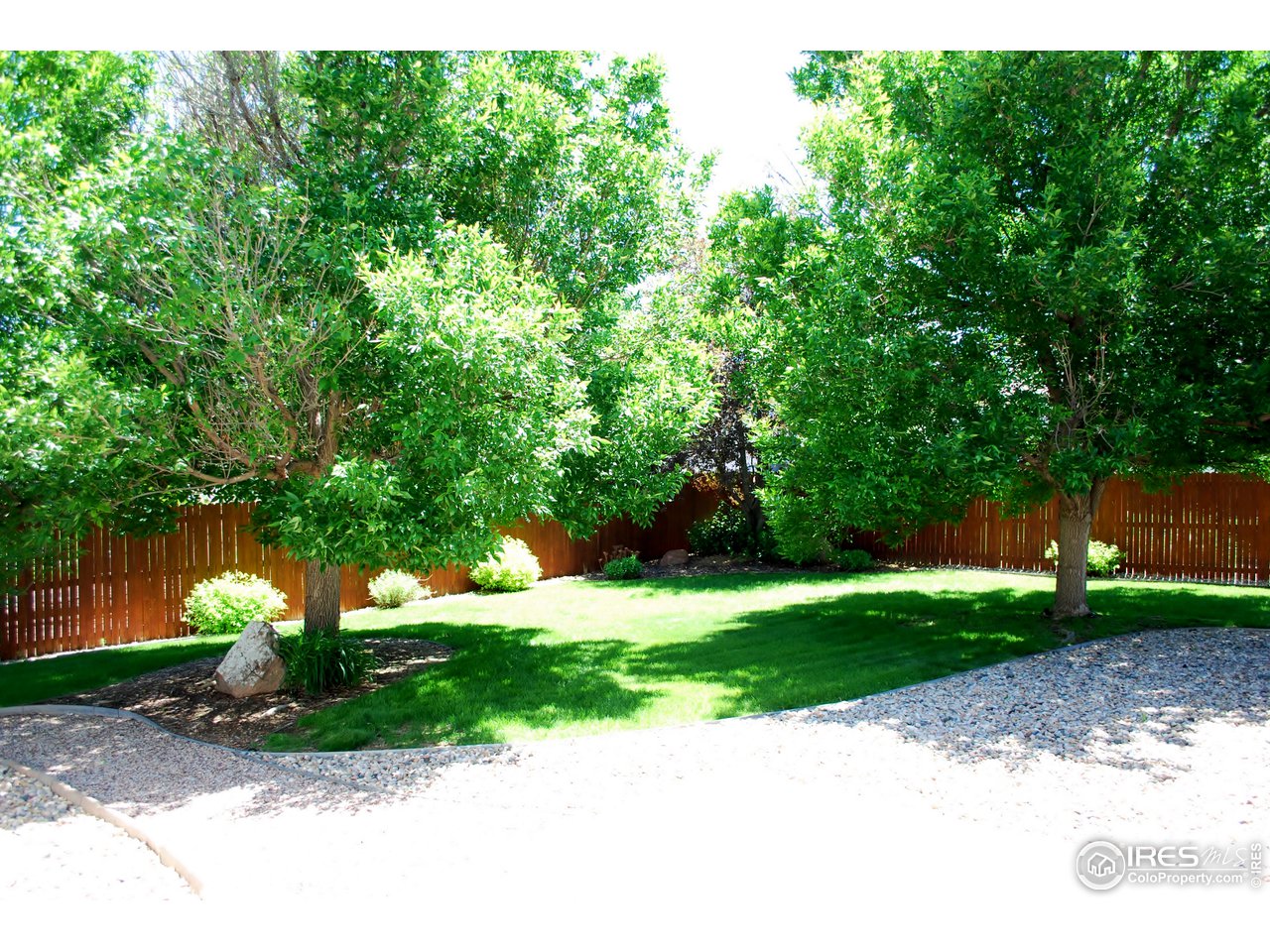 Backyard with Mature Landscaping