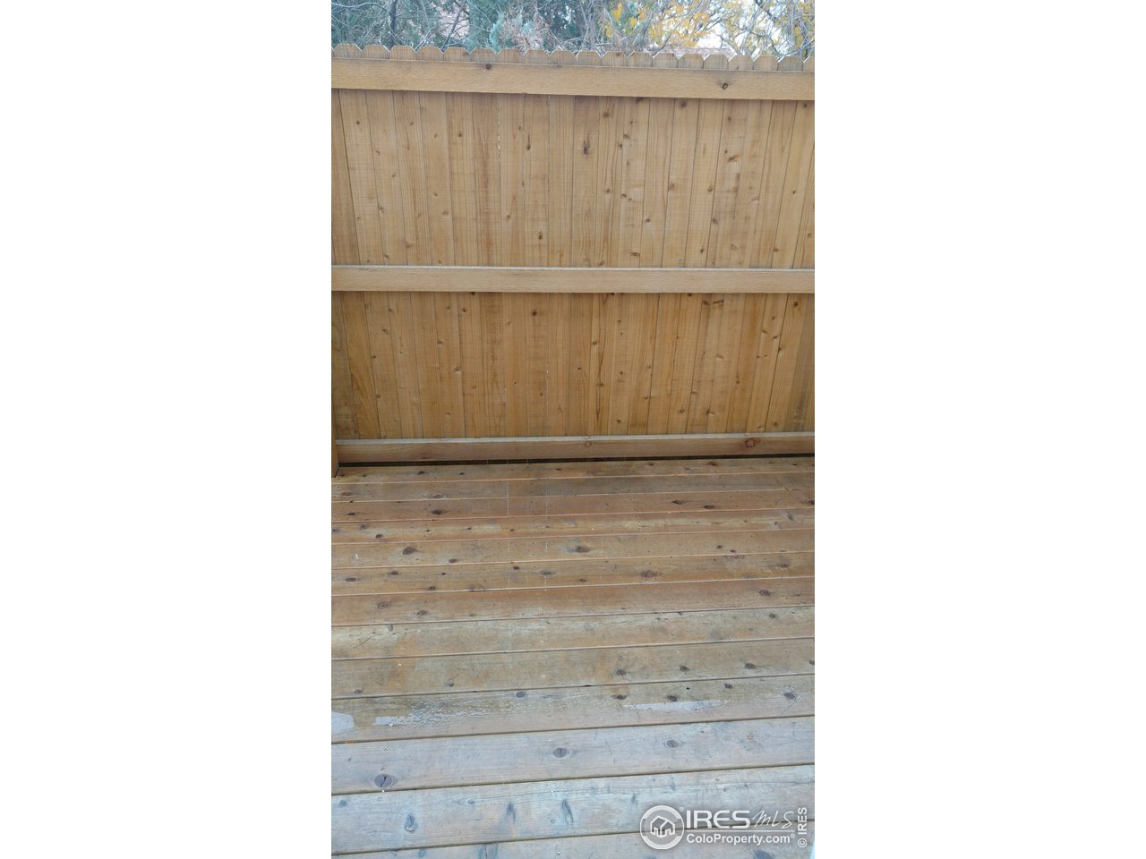 Wood deck and fencing