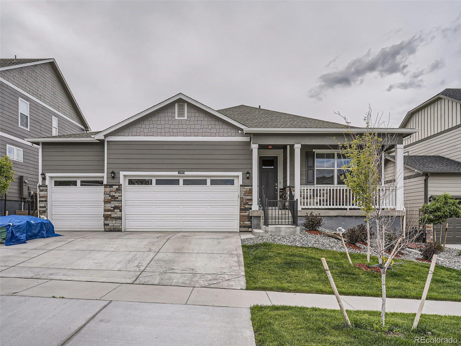 13863 Wild Lupine Street Parker