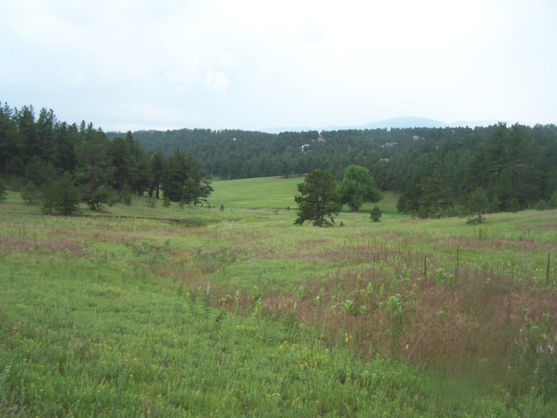 The Elk welcome horses!