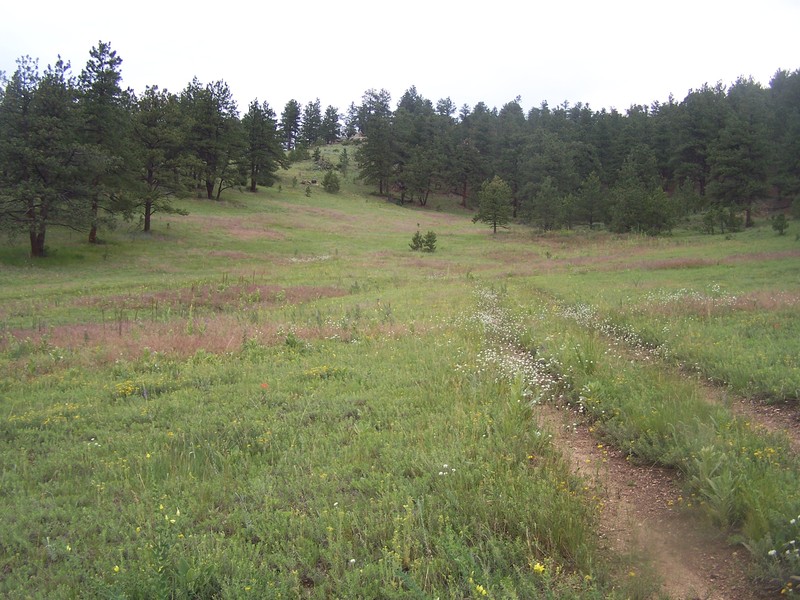 Easy Access from Kerr Gulch.