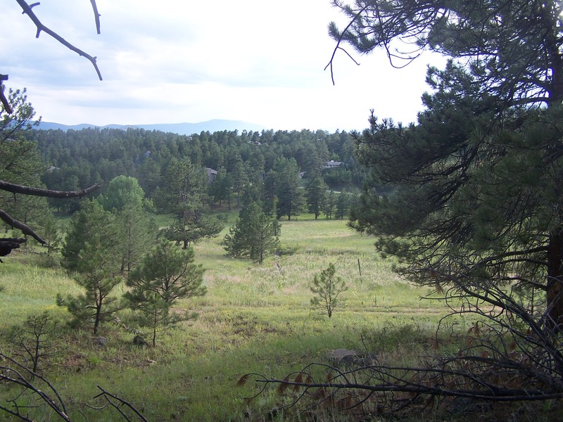 Convenient North Evergreen Location!