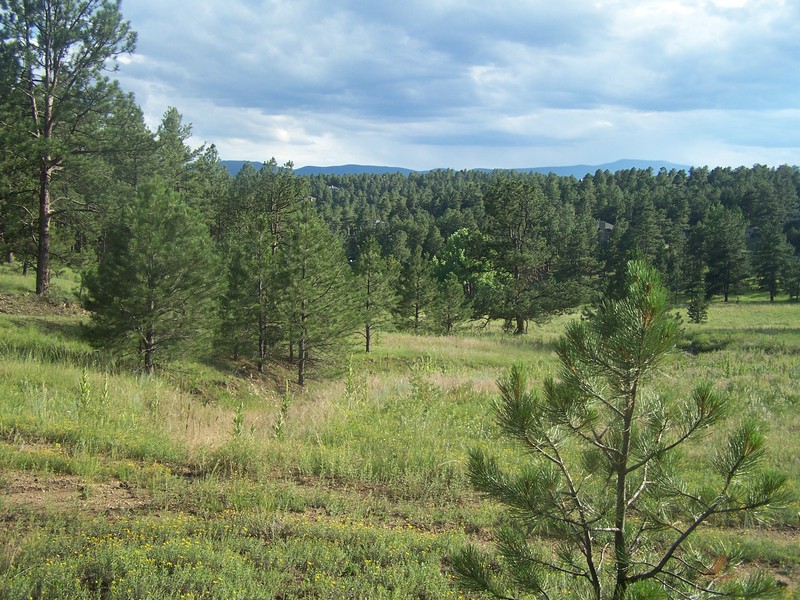 10 Incredible Acres
