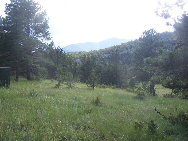 Mountian Views