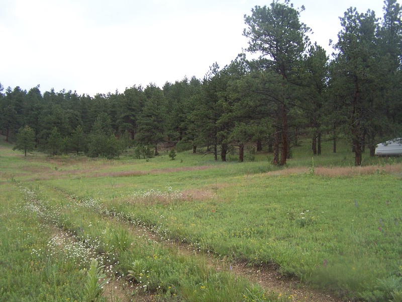 Easy to Build your dream home on!