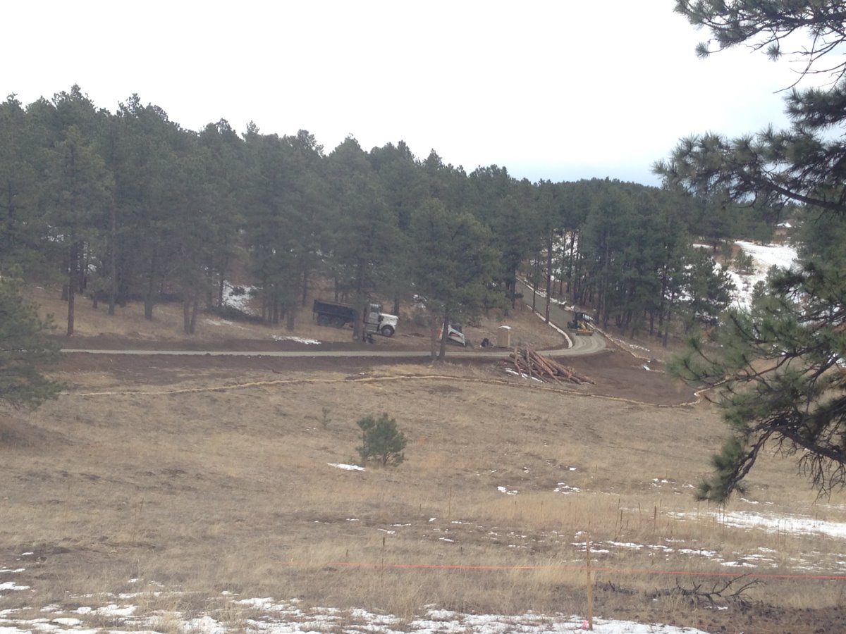 Driveway Construction